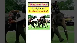 Elephant Polo 😀 sports gk #shorts