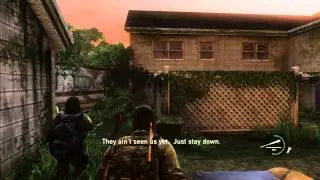 The Last Of Us P22