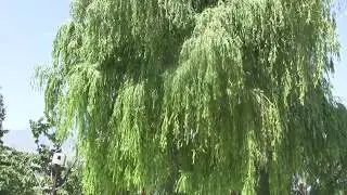 Кыргызстан 2017-   Кок Бель, Токтогульское водохранилище