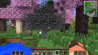 Video 12 13 2014 12 22 22 AM