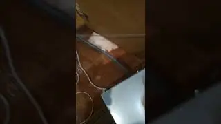 Установка посудомоечной машины