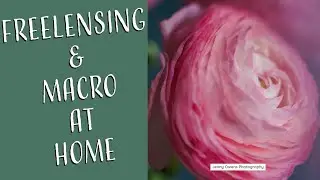 Creative Photography Ideas at Home: freelensing and macro