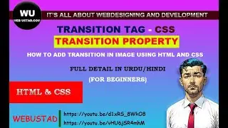 Transition Tag CSS | Transition Property CSS tutorial for beginners in detail | HTML CSS tutorials