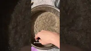 Папье-маше из яичных лотков 🥰#папьемаше #сделайсам #своимируками