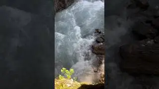 Switzerland! 🇨🇭 The Alps! Rosenlaui Gorge! / 5.Живая музыка Альп! 10.07.2023 