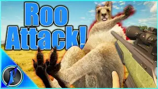 Flinter's First Kangaroo Encounter Bring 3 AGGRESSIVE Roos!