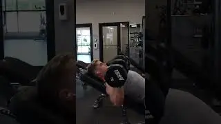 Training for Aesthetics