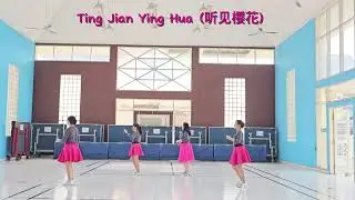 Ting Jian Ying Hua( 