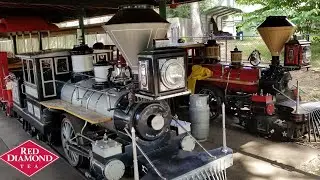 Train Ride on the Red Diamond Express - Birmingham Zoo