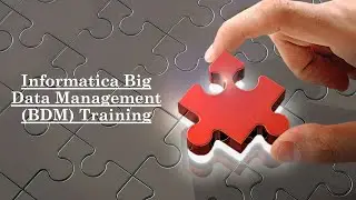 INFORMATICA BIG DATA MANAGEMENT Training – Online Course & Certification Tips