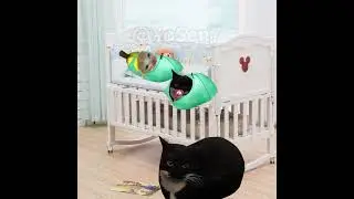 BANANA CAT 🍌🐱 BABYS CRYING TOGETHER AND NEED BOTTLE 