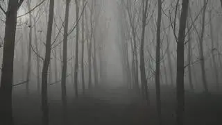 Dangerous Way - (VladVanTap & LilPawa)