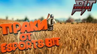 ПРАКИ ОТ BIT ESPORTS