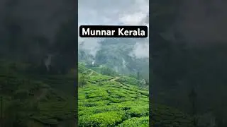Munnar best Place #munnar #munnarhills #munnartouristplaces #munnardays #ytshort #yt