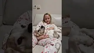 Signs that your beagles love you🥰🥰🥰 #beaglelife #doglovers #beaglelove #puppylove #cutedog