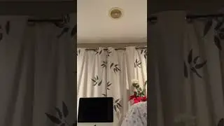Pese 225 Fati Tuai