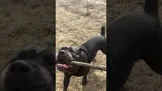 Талисман 🥰