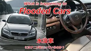 Flooded cars. What happens to them?