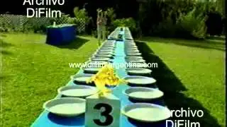 DiFilm - Publicidad detergente Magistral (2003)