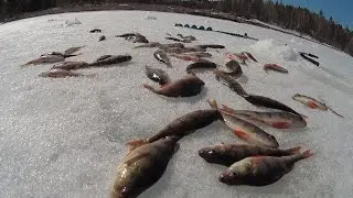 Cool lake