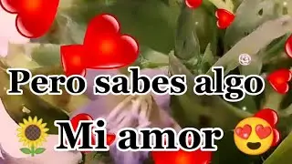 🥰🌻 Para un gran  ❤️ Amor, que llegó a mi vida 😍♥♥♥Hermoso vídeo para dedicar al amor de tu vida♥♥♥