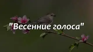Отчетный концерт хорового класса ДШИ № 5 "Весенние голоса" (2022)