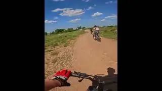 #велосипед  #лес