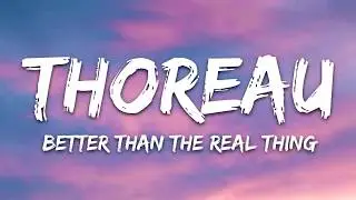 Thoreau x Ro$ko x Snoozegod   Better Than The Real Thing Lyrics