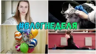 #ВЛОГНЕДЕЛЯ