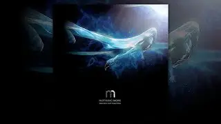 Nothing more // THE FEW NOT FLEETING ALBUM [Subtitulado en Español]