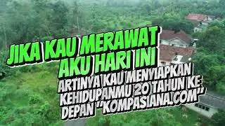 Menanam untuk kehidupan #uwaisaditya #bpdasbatanghari #ayomenanam #tanaman #gaharu
