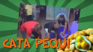 Cata pequi lambadão