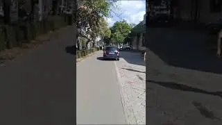 Чудаки парковки