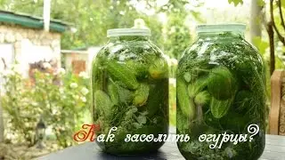 Засолка огурцов.  Солим холодным способом!