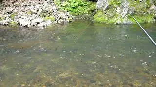 Tenkara and Nymph Fishing Movie 1