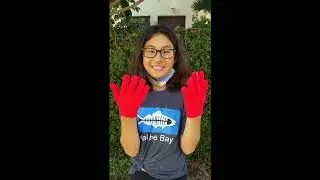 How to do a Beach or Neighborhood Cleanup with Supplies from Home