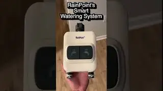 How to Plant Grass and Automate the Watering with RainPoint! 