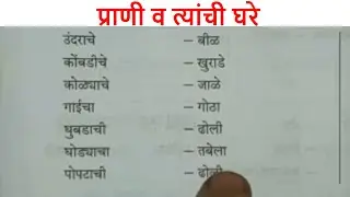 Animals and Birds Home in Marathi | प्राणी व त्यांची घरे | Home of Animals/Birds | घर दर्शक शब्द