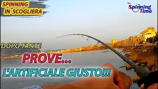 SPINNING IN SCOGLIERA - DOPO TANTE PROVE... L'ARTIFICIALE GIUSTO!!!