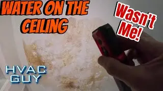 Water Dripping From Ceiling But I'm Innocent This Time
