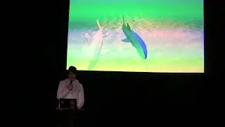 Alex Laing - Writing Shaders in Godot 4