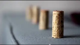 EF 50mm f/1.8 II FOCUS TEST - Canon EOS 60D