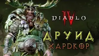 Друид-хардкорщик идет на мирового босса