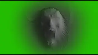 Green Screen Ghost Effect VFX