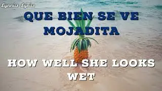 J BALVIN & BAD BUNNY- MOJAITA ( LETRA + ENGLISH TRANSLATION)