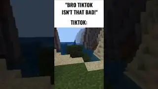 Bro tiktok isnt that bad 😨