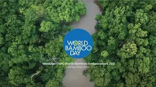 World Bamboo Day 2021. A Message from World Bamboo Ambassadors