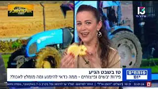 איזה פירות יבשים הכי מומלצים וממה להיזהר | פינת הבריאות ערוץ 13
