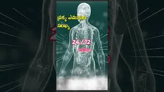 అంకెల్లో మానవ శరీరం The Human Body in Number Telugu Interesting Facts #factsintelugu #gktelugu