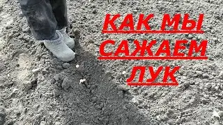 ЖИЗНЬ В ДЕРЕВНЕ//Посадка лука для тех у кого болит спина//